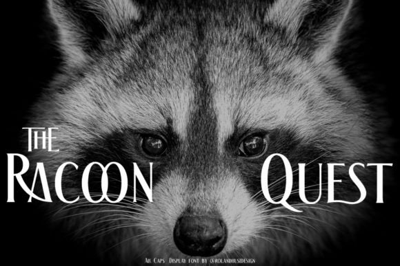 The Racoon Quest Font Review